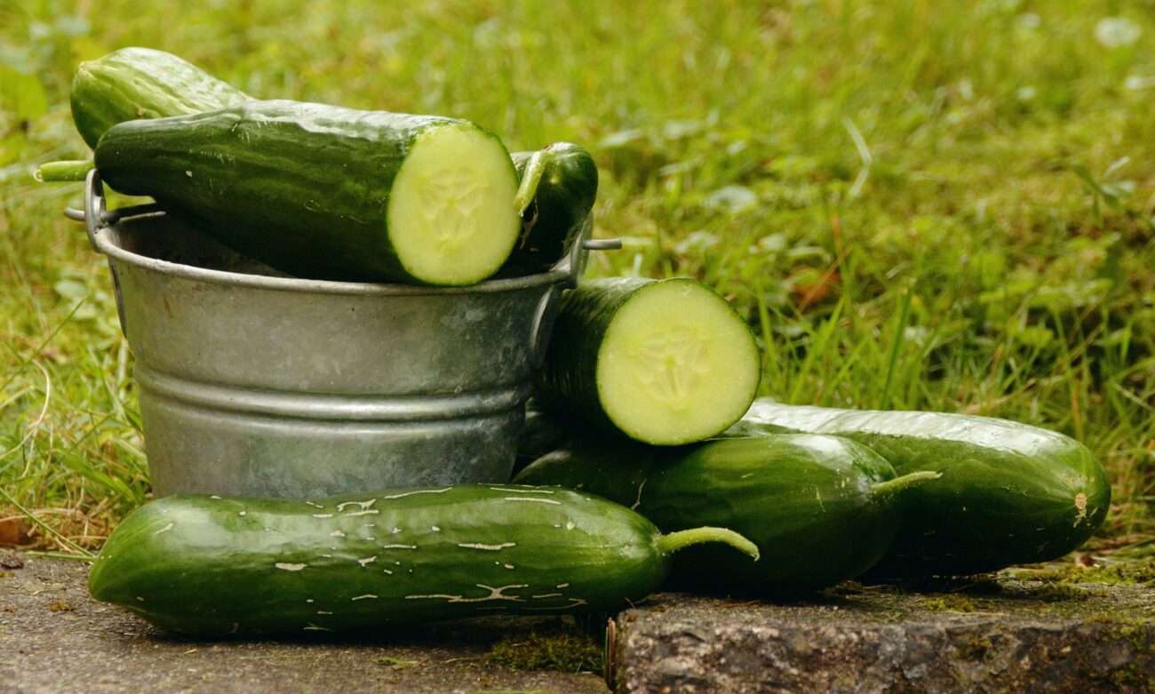 Cucumber Cool